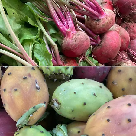 Antica Dimora Dell'angelo Nardò