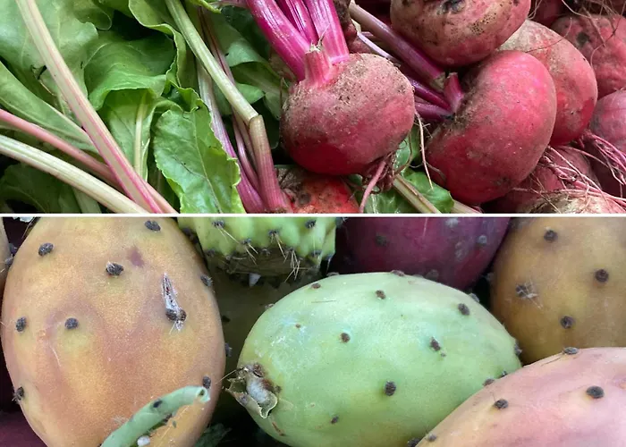 Antica Dimora Dell'angelo Nardò